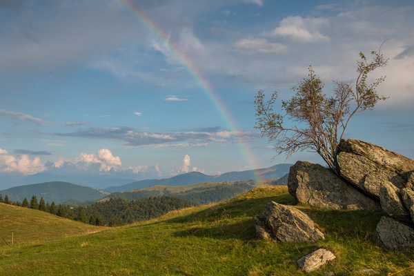 tura foto blidarei