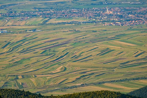 tura foto blidarei