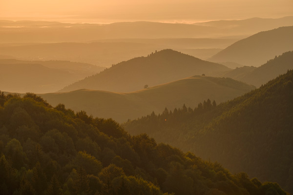 tura foto blidarei