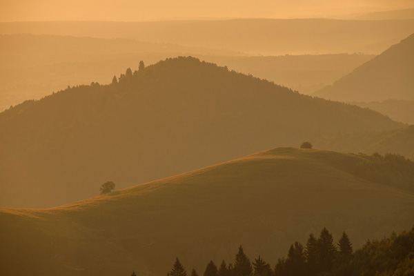 tura foto blidarei